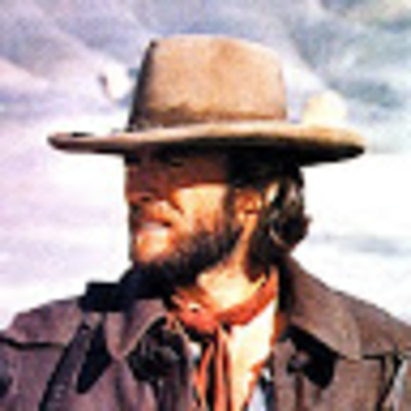 Meet your Posher, Brody - Picture 1 of 1